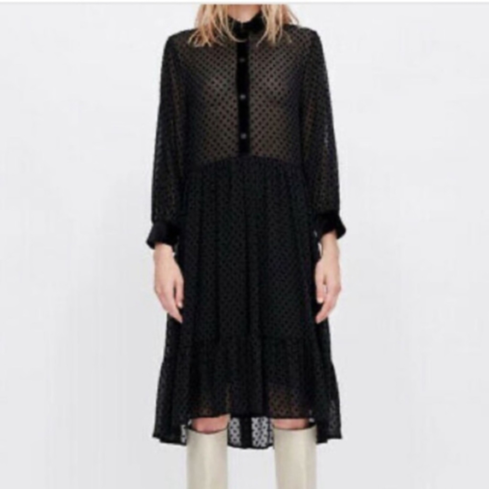 ZARA Swiss Dot Sheer dress